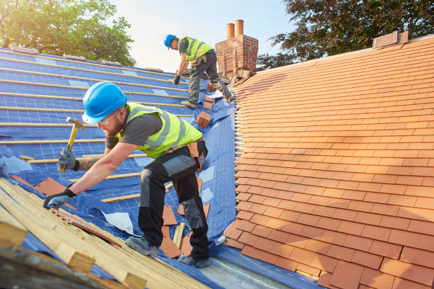 Best Solar Panel Roofing Installation  in New Brunswick, NJ